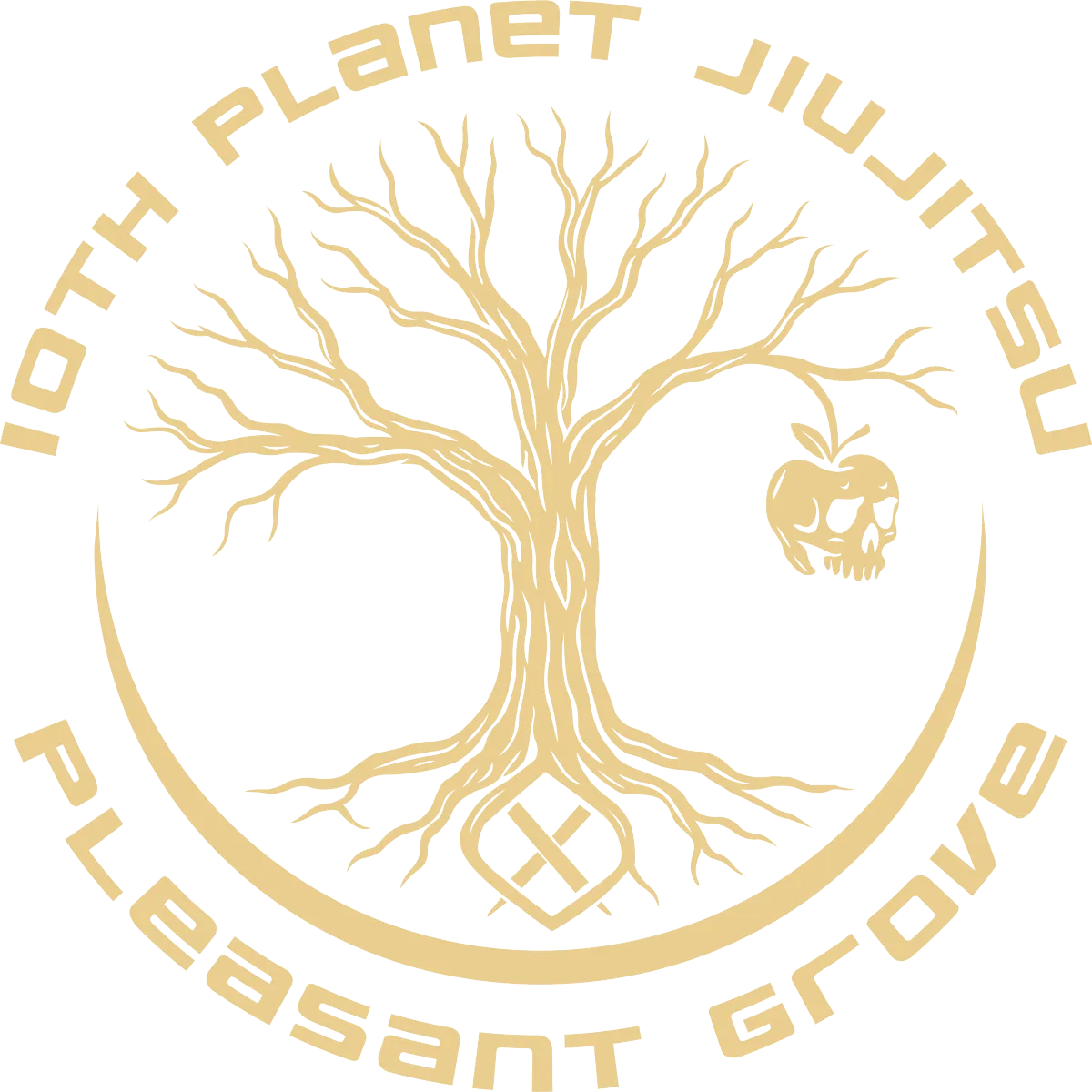 10th Planet Jiu Jitsu Pleasant Grove